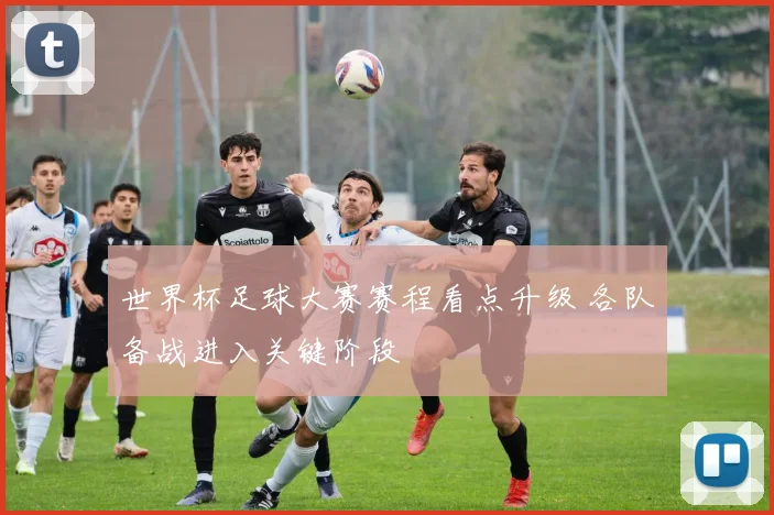 世界杯足球大赛赛程看点升级 各队备战进入关键阶段