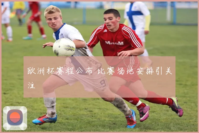 欧洲杯赛程公布 比赛场地安排引关注