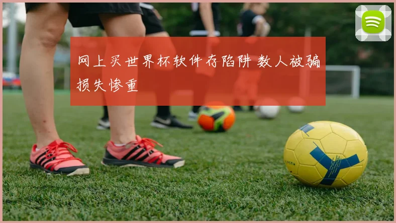 网上买世界杯软件存陷阱 数人被骗损失惨重